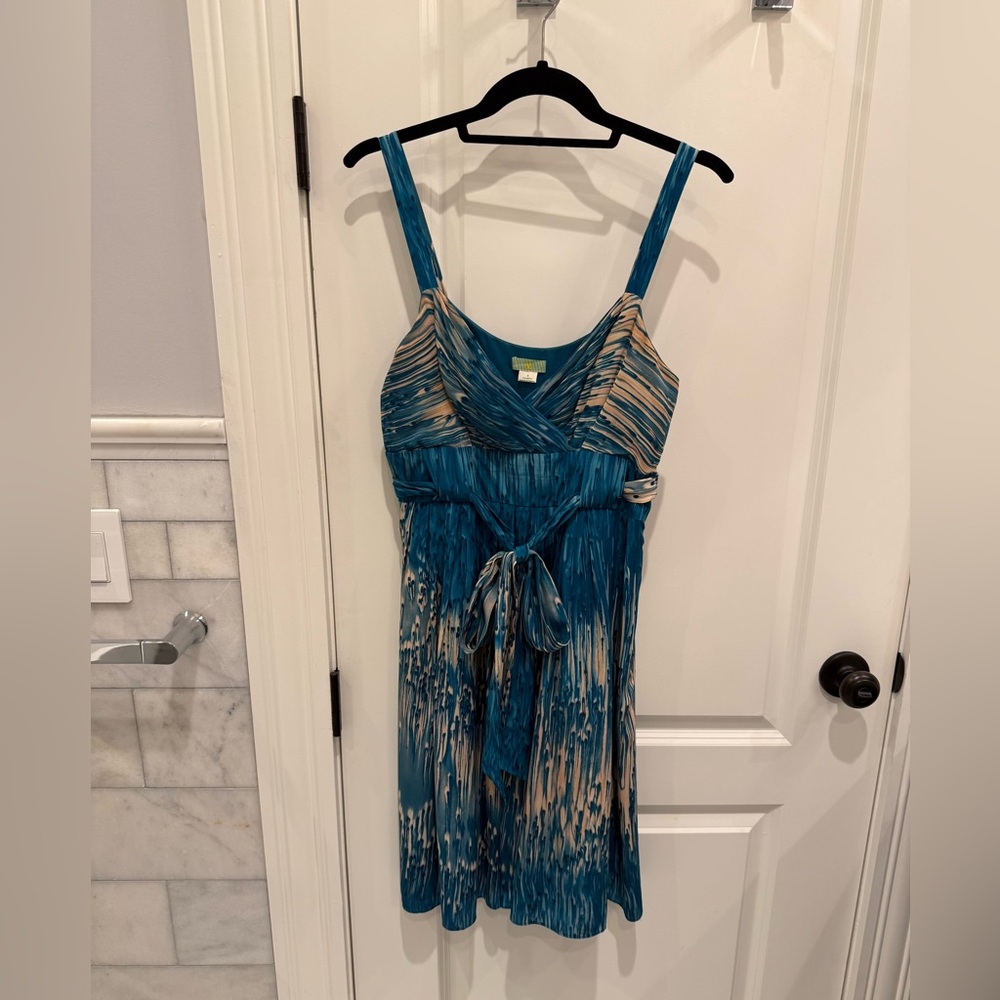Anthropologie LIL Caballo Falls Silk Dress (Sz 8)